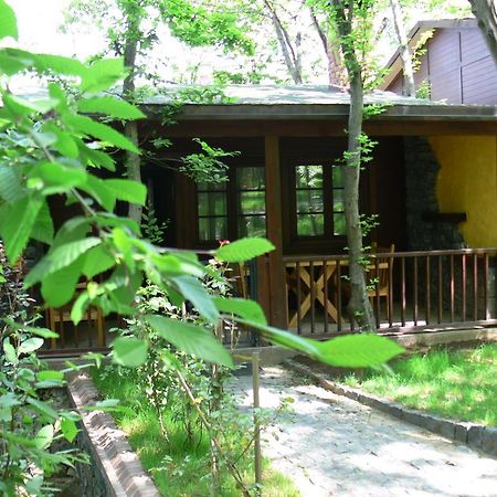 Dolunay Fanizan Hotel Fatsa Dış mekan fotoğraf