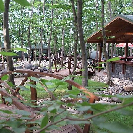 Dolunay Fanizan Hotel Fatsa Dış mekan fotoğraf
