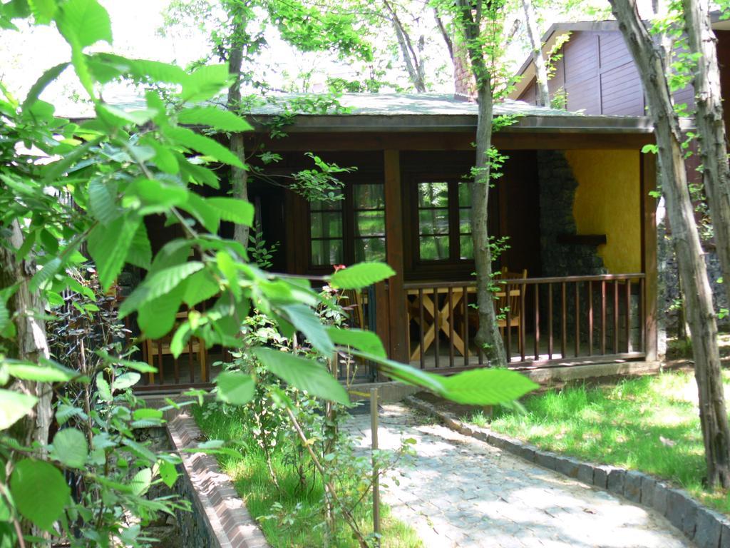Dolunay Fanizan Hotel Fatsa Dış mekan fotoğraf