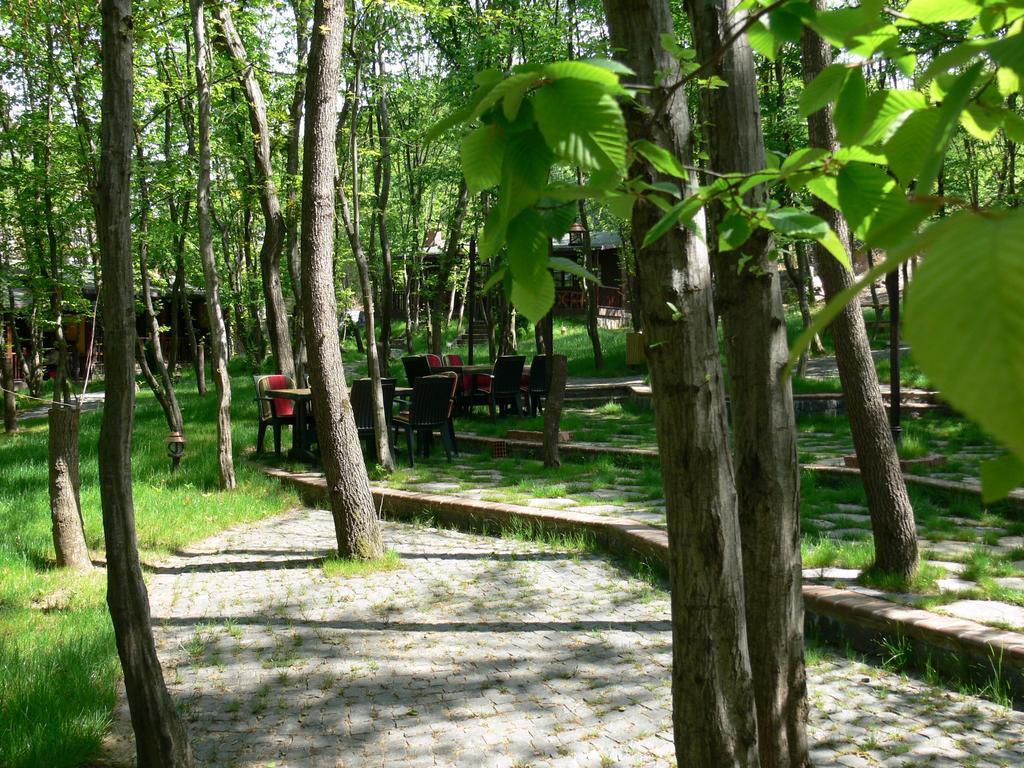 Dolunay Fanizan Hotel Fatsa Dış mekan fotoğraf