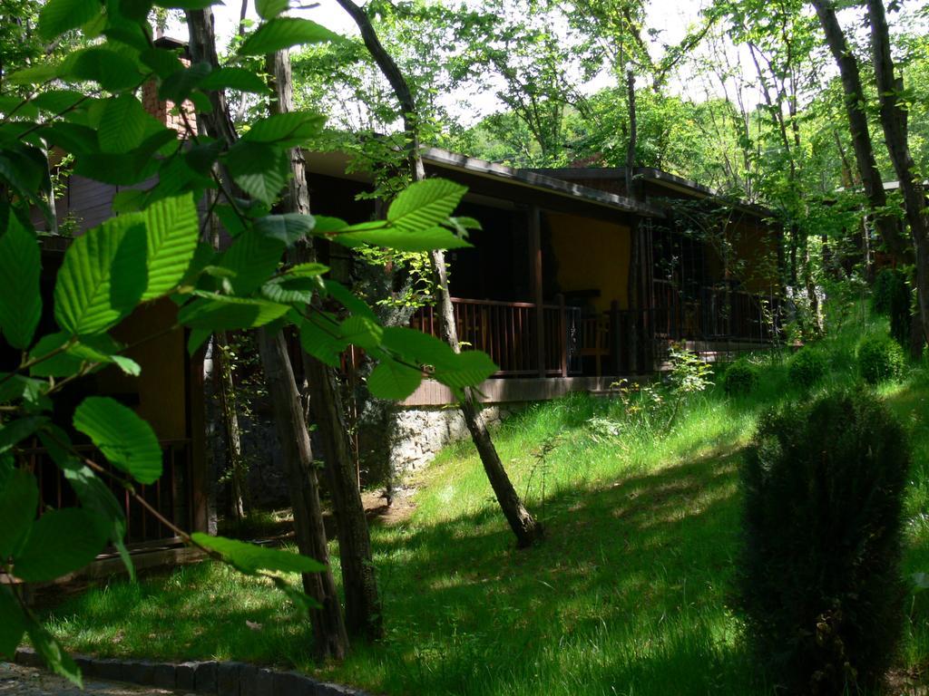 Dolunay Fanizan Hotel Fatsa Oda fotoğraf
